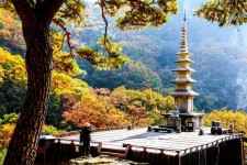 Pin page 청량산의 가장 아름다운 자락에 위치한 영험한 기도처, 경북 봉화 청량사탑 | Korea tourism, Autumn in korea, Tourism