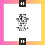 제주 여행, 렌트카 vs 대중교통? 나에게 맞는 이동 수단 찾기 | 제주도, 여행, 교통, 렌트카, 대중교통, 비교, 추천