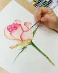 보태니컬아트 스페이스림 space-lim(@artspacelim) • Instagram 사진 및 동영상