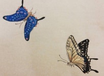 나비처럼 날아봤으면. . #미술학원#취미미술#민화#나비#한국화#장지위에채색#길상튜브물감” | 민화, 나비, 한국화