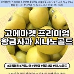 37000원 ㆍ [고메마켓] 프리미엄 아삭상큼 황금사과 가을제철 시나노골드 사과 5kg 10kg 정품 꿀 사과, 황금사과 시나노골드 중과 5kg ( 16... 
