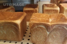 유토이미지 | 식빵 공장 식빵 공장  Yanggiri, 사진, 식빵, 모양, 팬, 반죽, 발효, 구운, 제빵, 빵틀, 빵집, 공장, 음식, 배경