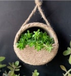 Mini gardens에 있는 Vakala Rodopy님의 핀 - 2021 | 소풍