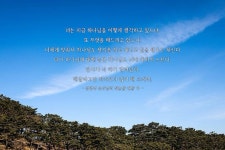 #월명동 #자연성전 #하나님의궁 #하나님 #성령 #성자 #예수님 #기독교복음선교회 #jms #섭리 #정명석 #316 #휴거 #하늘말내말