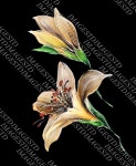 MOTIF(모티프)에 있는 Seoul Textile Design Studio (S님의 핀 | 꽃