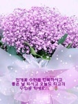 좋은글에 있는 SuMin Kim님의 핀 | 좋은 아침 인사, 생일 축하 그림, 아침 인사