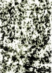 t212_KW_손선희_w02_19