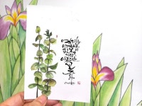 Pin page 캘리그라피에 있는 박은진님의 핀 | 수채화 엽서, 간단한 수채화 그림, 수채화