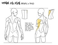Guardado rápido에 있는 tif님의 핀 | 드로잉 강좌, 바디 드로잉, 그리기 튜토리얼