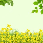 녹색 봄 포스터 배경, 신선한, 포스터 배경, 녹색 배경 일러스트 및 사진 무료 다운로드 - Pngtree