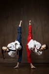 태권마루 (17 Page)