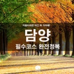 #여행 #트립플래닛 #죽녹원 #댓잎아이스크림 #국수거리 #메타세콰이어길 #소쇄원 #담양호 #담양온천 | 여행, 거리