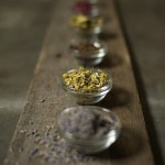 Potions에 관한 30개의 최상의 Pinterest 이미지 | 약초, 자연 치료법 및 건강 Potions