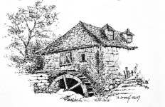 펜화 따라그리기