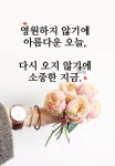 그림에 있는 Jiyoung Im님의 핀 | 고급 꽃, 좋은 아침 인사, 손글씨