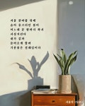 서윤덕 시인의 입춘🪴 폰트_Rix뉴트롯 - 2023 | 앱, 모바일 앱, 배경화면
