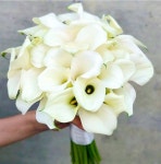 Bouquets 부케에 있는 Detable Flower님의 핀 | 꽃다발, 꽃꽂이, 다육 식물