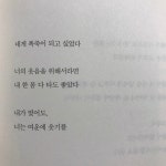 너에게 폭죽같은 사람이 되고싶다