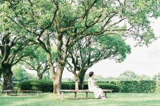 사진 설명이 없습니다. | 公園, ベンチ, 風景