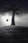 B&W에 관한 39개의 최상의 Pinterest 이미지 | 흑백의, 배경화면 및 흑백 사진 B&W
