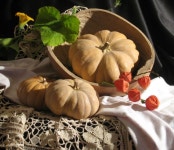 작은 사진안에 가을열매 - 박정섭 갤러리 : 네이버 블로그 - 2020 | 야채 그림, 유화, 정물