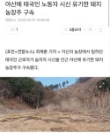 야산에 태국인 노동자 시신 유기한 돼지 농장주 구속