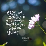 부천캘리/중동캘리/아띠캘리/봄날/햇살좋은 : 네이버 블로그 | 손글씨 문구, 멋진 명언, 손글씨