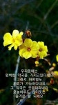 Pin page inspirational에 있는 sun kim님의 핀 | 아침 이미지, 좋은 아침 인사, 멋진 문구