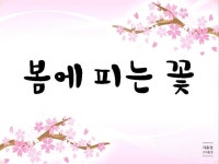 봄 활동자료 봄에 피는 꽃 PPT : 네이버 블로그 - 2020 | 꽃, 봄 꽃, 어린이집 꾸미기