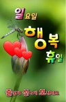 Pin page Pin di 진달래 su 감사