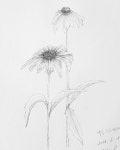 이미지: 그림