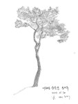 대전예고 소나무 #모바일드로잉 #노트7 #소나무
