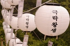 Chuseok Paper Lanterns 추석 .. 극락왕생
