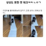고영희 캣워크
