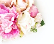 꽃을든남자&나우커피(now coffee) | Need it Now! Small Business Series: Flower Flower on the Wall - All Things Pretty | 꽃