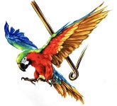 앵무새 개체묘사 기초디자인 건국대 정시