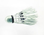 셔틀콕2_중벌2_shuttlecock
