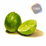 수희쌤의 그림 교실 9강 / 그림 잘 그리는 법 / 자연물 그리기 / [강남입시미술학원 다같이 미술학원]