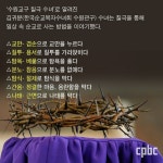 Pin by sungeux lee on 시도한 핀 in 2024