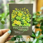 부산오일파스텔