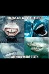 Lol에 관한 7개의 최상의 Pinterest 이미지 | 웃긴 사진, 웃긴 및 웃긴 것 Lol