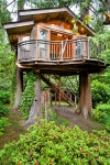 tree houses에 관한 40개의 최상의 Pinterest 이미지 tree houses
