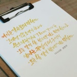 다시사랑,정현주