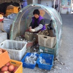 사파성당옆 사파대동상가와 사파삼익성가 사이에서 굴을 까고있다. 사진 찍어도 되겠냐니까 예쁜 미소를 보낸다. 비닐 건축기법이 탁월. 추운... 