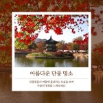 아름다운 가을 단풍 명소 추천 인스타그램 게시물 / 캔바 무료 템플릿 디자인 아름다운 가을 단풍 명소 추천 인스타그램 게시물 / 캔바 무료... 