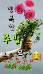 주말 아침 인사 | 시골 사진, 아침 이미지, 좋은 아침 인사