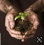 꽃에 있는 대희 이님의 핀 | 농장, 손