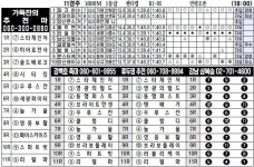 3/10 일요경마 부산일보배 경마왕 예상지! 검빛 코리아레이스 종합지 Busan Ilbo Cup Horse Racing King Forecast! Gyeongbit... 