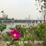 🏃🏻♀️🌺 연주날 아침엔 모다??... 아침엔 모다?? . .  몸사리는척해본사백미터  오늘 아침 러닝 한강 꽃가루작렬... 