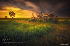 Sunlight a farm 2018년 9월 25일 안성목장